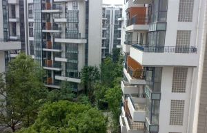 置信丽都花园城C区3室2厅西南