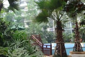置信丽都花园城D区3室2厅南