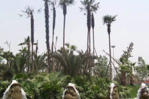 置信丽都花园城D区4室2厅东南