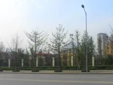 北部新区 逸翠庄园一期三房