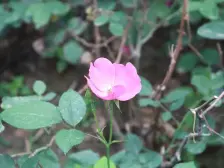 西站火星街仁恒美林郡二室 高楼层精装修随时看