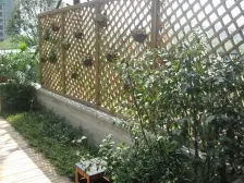 新天泽樾麓台 3室2厅 西北 北