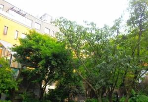 万科朗润园2室1厅东东北