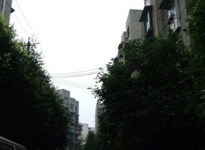 金河路63号2室1厅东南