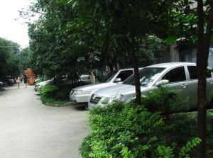 百花西路23号1室1厅南
