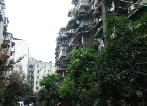 百花西路23号1室1厅南