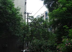 玉泉名居3室2厅东东南