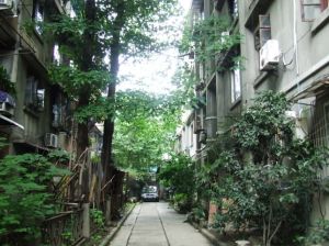 通锦路3号院3室2厅东南