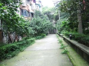 玉双路5号1室1厅西南