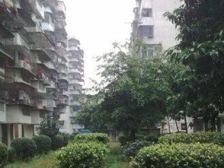 福新西路居家两房落地一楼拎包入住配套华侨小11