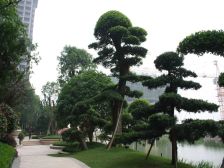 恒大名都,一室一厅,保养好,看小区园林