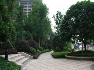 恒大名都周正4房楼层好视野好