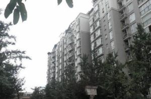 诺金山 3室2厅 东