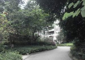 诺金山4室2厅南