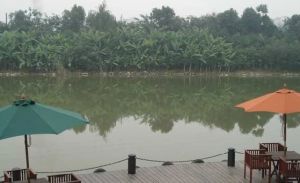 长城半岛城邦一期5室2厅西南