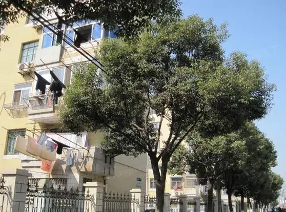 临源一村