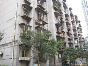 海椒市街7号院 2室1厅 西南