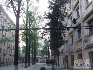 金鱼街5号 2室1厅 东