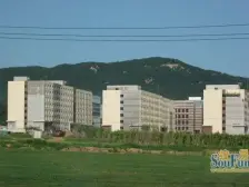 大院落、大停车场、双拼别墅居住舒适高