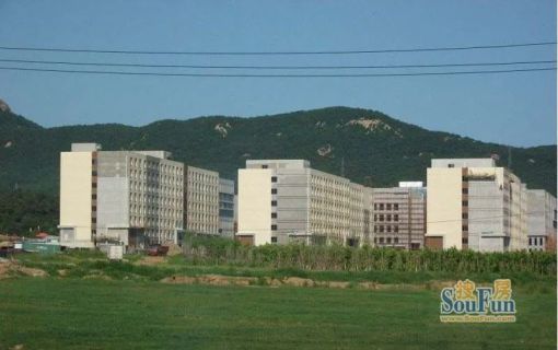 大连天地悦翠台5室2厅4卫南北朝向18000.00元/月出租