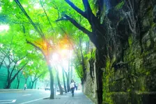 【建新北路小区】| 重庆市江北区建新北路38号3幢16-3号房屋