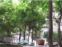 天府家苑 2室1厅 西南