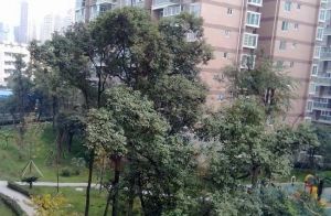永兴佳苑1室1厅东