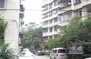 江安逸人居1室1厅东南南