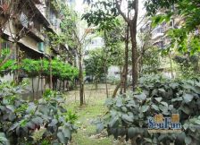 金沙美邻丽雅苑 3室1厅 东南