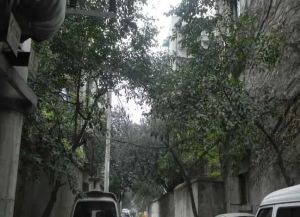 龙泉交通局宿舍 4室2厅 南
