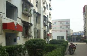 龙鑫小区2室2厅南北