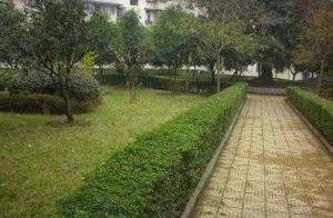 龙鑫小区4室2厅东南