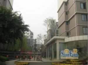 利阳阿里山 2室2厅 西南