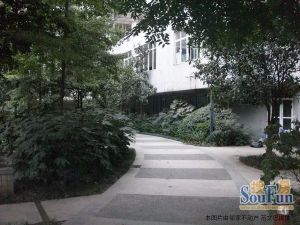 时代丽都美语3室1厅东南