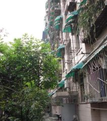 通锦桥路176号3室2厅东南