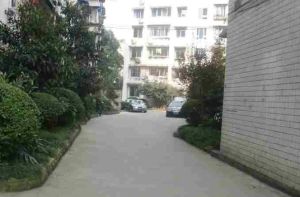浣花北路8号3室1厅东