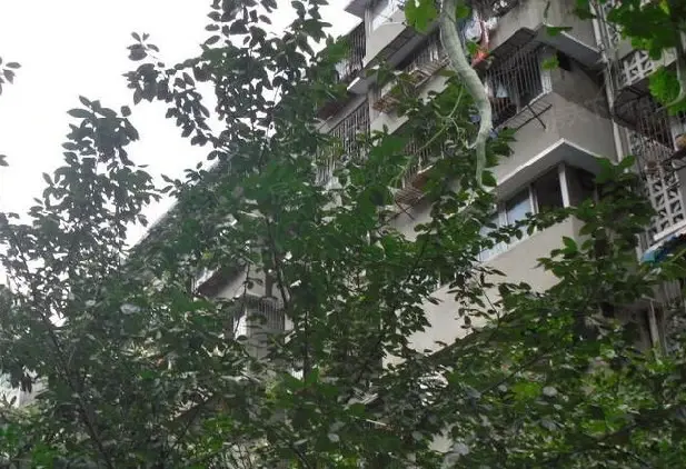 一环路西二段15号院