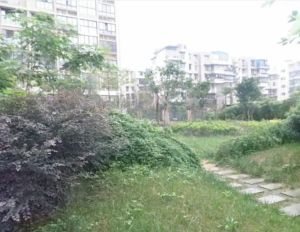 乐摩筑1室1厅南