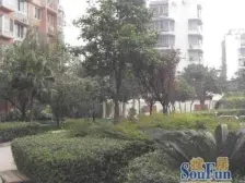 成达综合楼 3室1厅 南