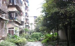 西南财经大学教师宿舍 2室1厅 南