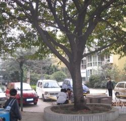 水岸花园3室2厅西南