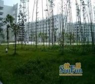 五角大楼 1室1厅 东南