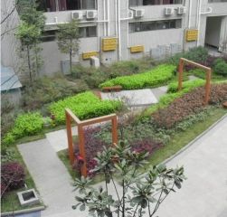 君雁优禾4室2厅南