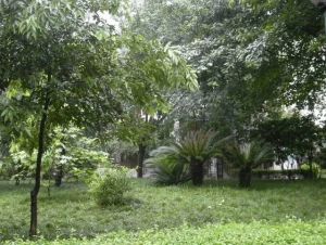向阳小区3室2厅东南