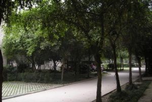 向阳小区3室2厅南