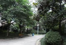 汇景樱桃季 1室1厅 西北