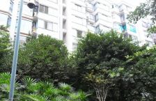 汇景樱桃季 1室1厅 西