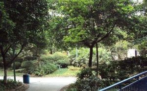 汇景樱桃季2室1厅东