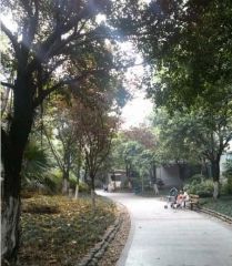 汇景樱桃季1室1厅东