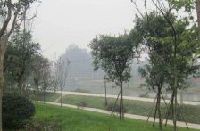 三盛翡俪山 5室2厅 东南